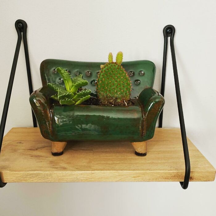 My Cute Lil Couch (X-Post)