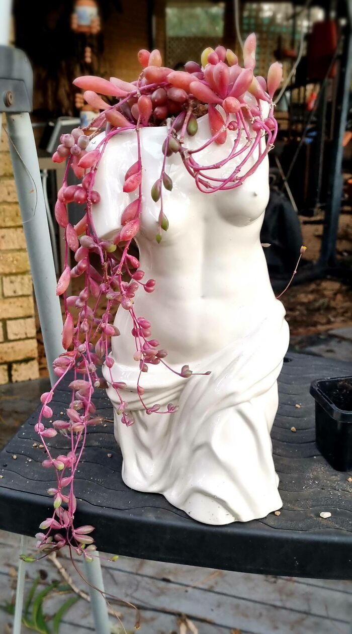 My Ruby Necklace Living Up To Her Name