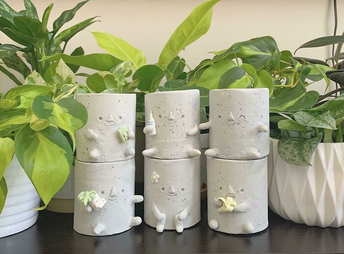 Update On My Root Pots :d