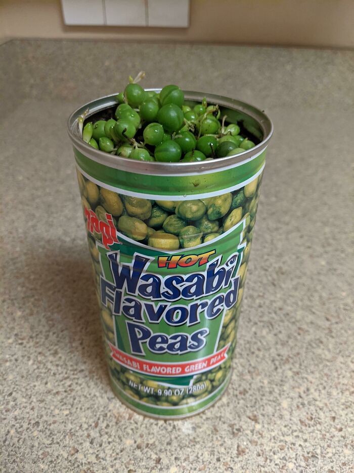 I Found The Perfect "Pot" For This Lil Babe!