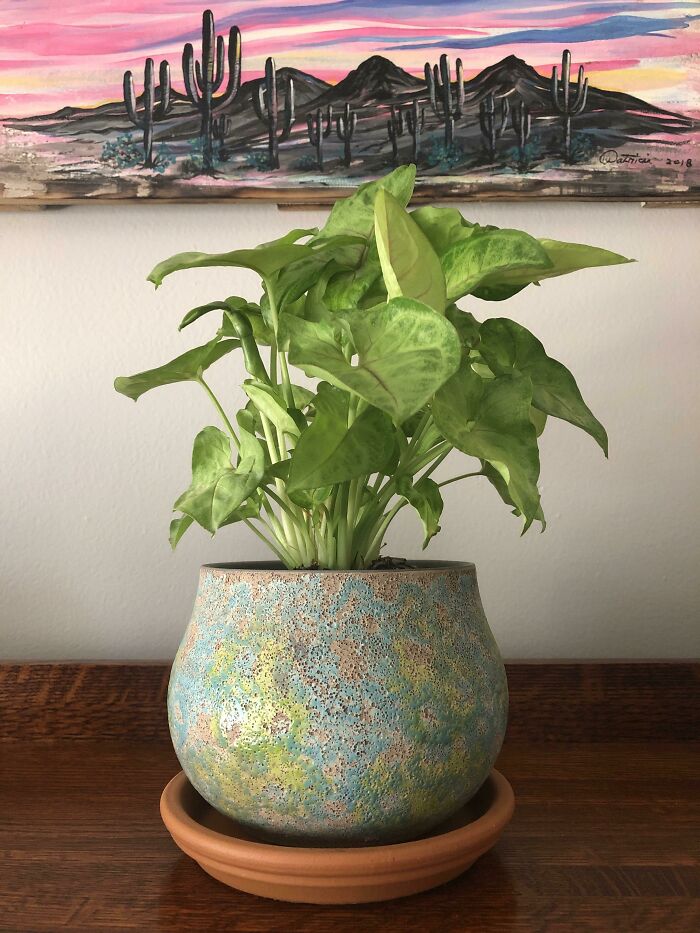 Sometimes I Let My Husband Pick The Pot 🥰