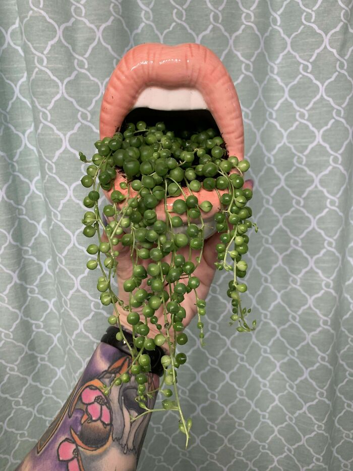 I’m O B S E S S E D!