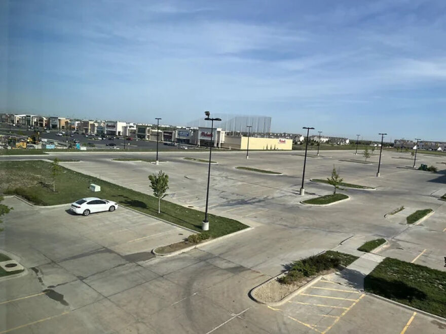 Looks Like After Some Extinction Event