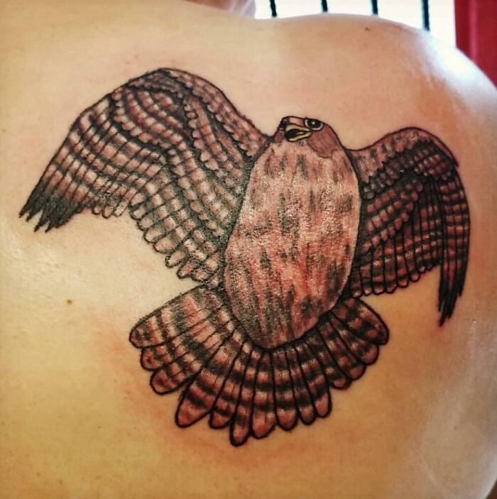 Tattoo fail of a bird with distorted wings on the upper back displaying an epic example of tattoo fails shared online.