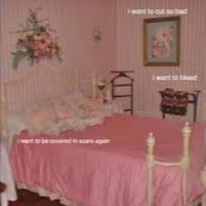 sesekischmidt avatar