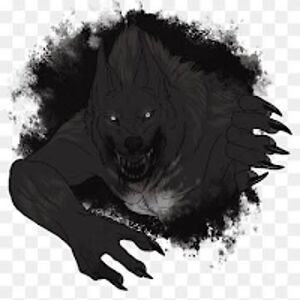 osahonwolf avatar
