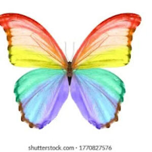 gabriellabirts avatar