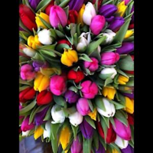 tychoastronaut avatar