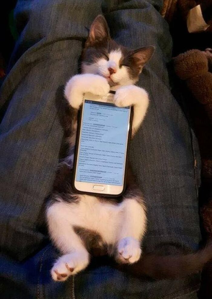 My Friend Got A New Phone Case