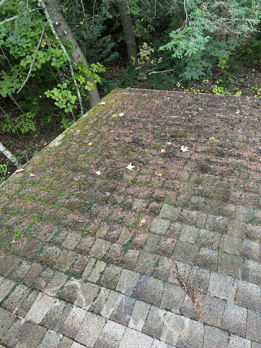 Before/After Neglected Corner Of Roof Before/After Neglected Corner Of Roof