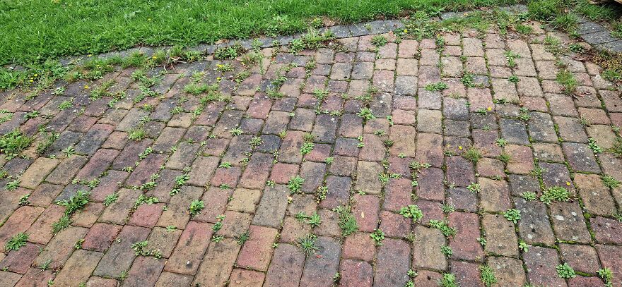 Finally Got Round To Cleaning My Brick Driveway Finally Got Round To Cleaning My Brick Driveway