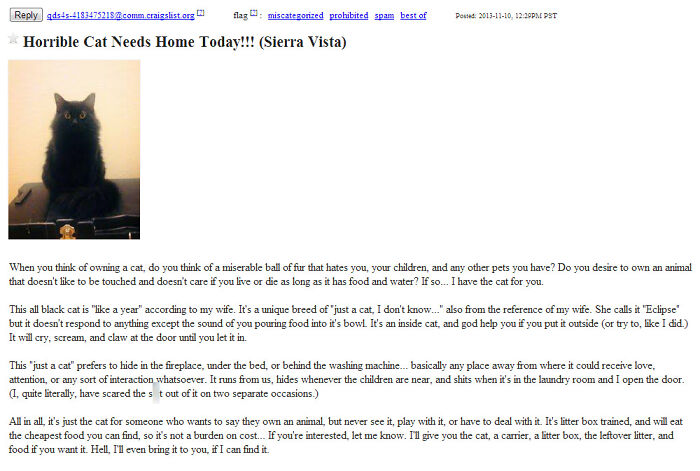 Horrible Cat Needs Home