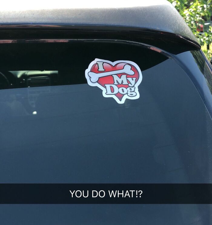 Bumper Stickers Are Becoming More And More Questionable