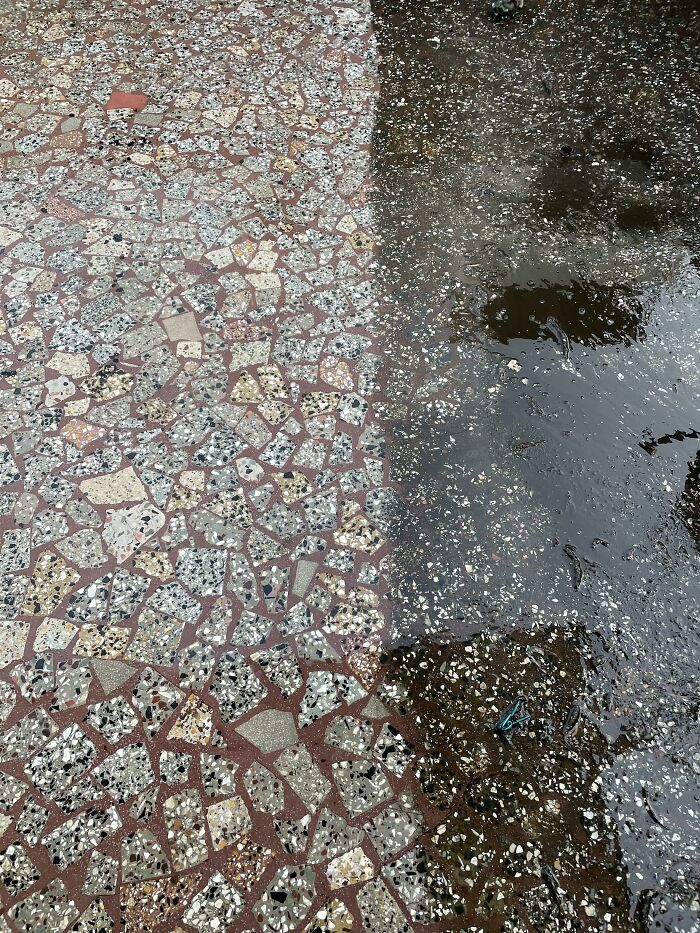 Cleaning The Monsoon Mess