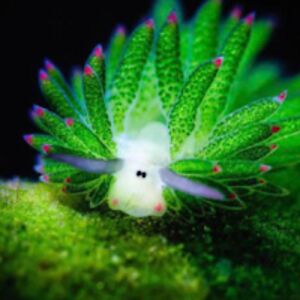 elainnaanderson avatar