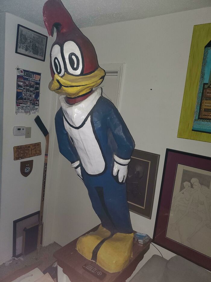 Mi pájaro carpintero de metro y medio