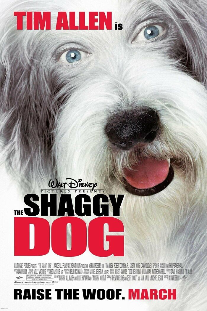 Shaggy The Dog movie poster 
