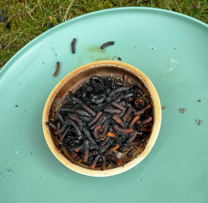 My Daughter Microwaved Her Mac N' Cheese Without Filling The Cup With Water First