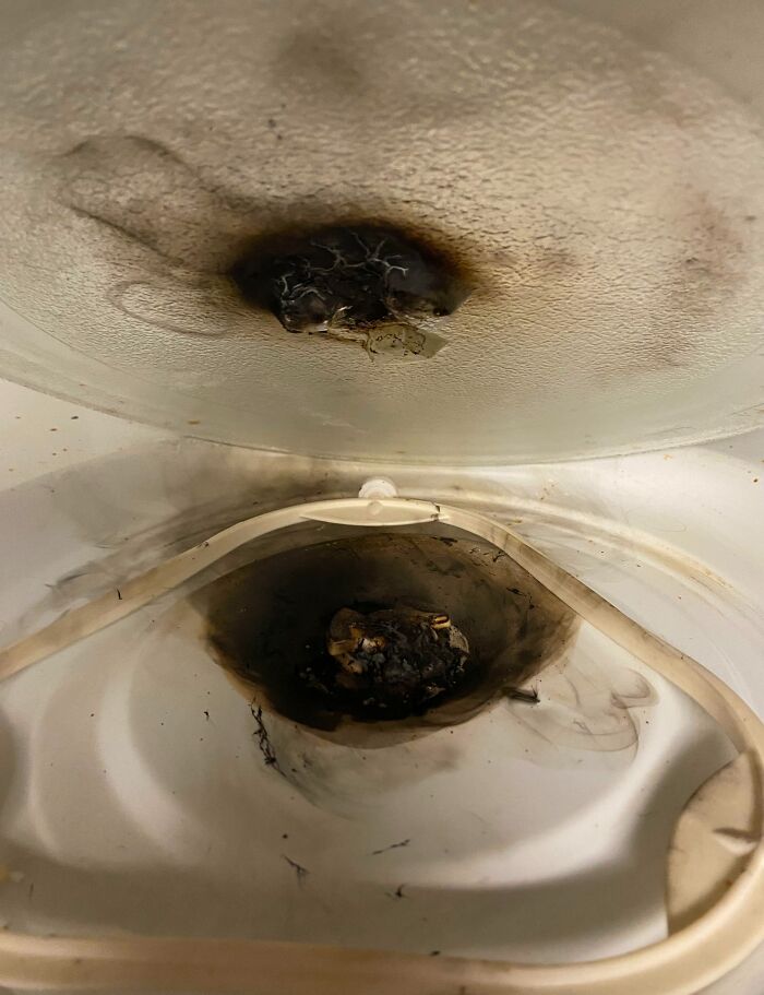 Thanks Microwave, I Really Needed You To Catch Fire The Week Before Christmas