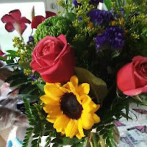 Sweet Toni aka pickneygal