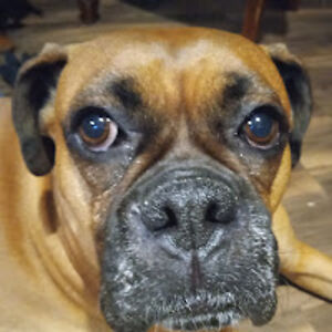 kassiazippler avatar