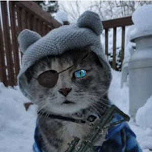 stopthephilosophicalzombies avatar