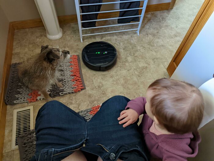 Can't Go To The Bathroom Without Every Being In The House Joining Me