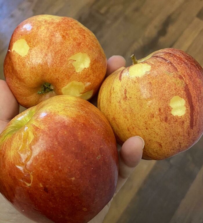 “Show Me You Have A Toddler Without Showing Me Your Toddler.”