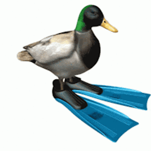 yandeedelacruz avatar