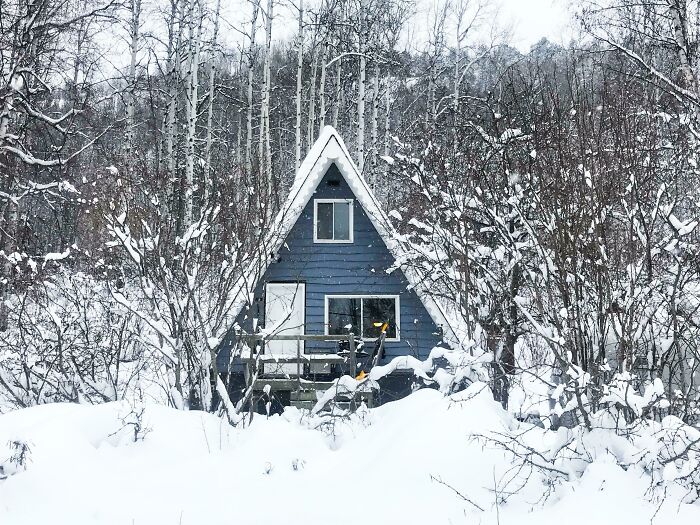 Small blue tiny house design in snowy woods, perfect example of cozy compact living surrounded by winter nature.