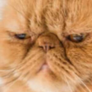 braydendempsey-ade avatar