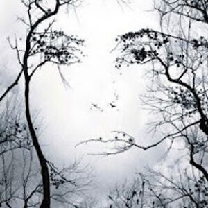 littlemisslady avatar