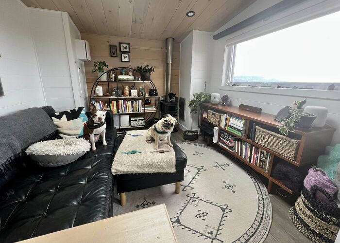 Cozy tiny house interior with two dogs on a sofa, circular rug, bookshelf, and large window view.