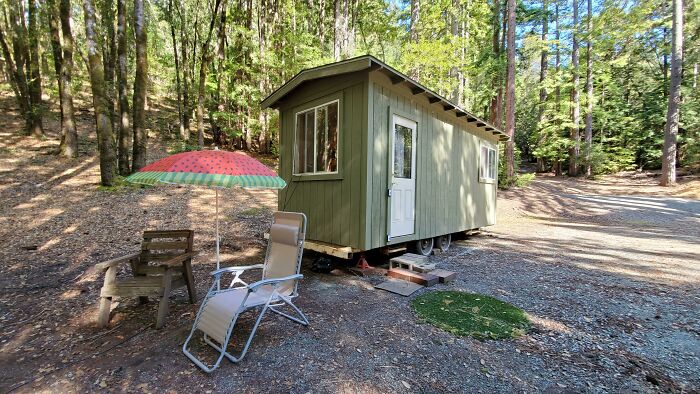 Small green tiny house design nestled in the woods with outdoor chairs and a colorful umbrella nearby.