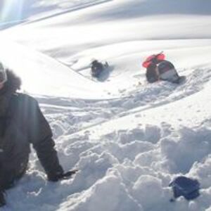 catherinesell avatar