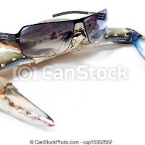 kristiannorheim avatar