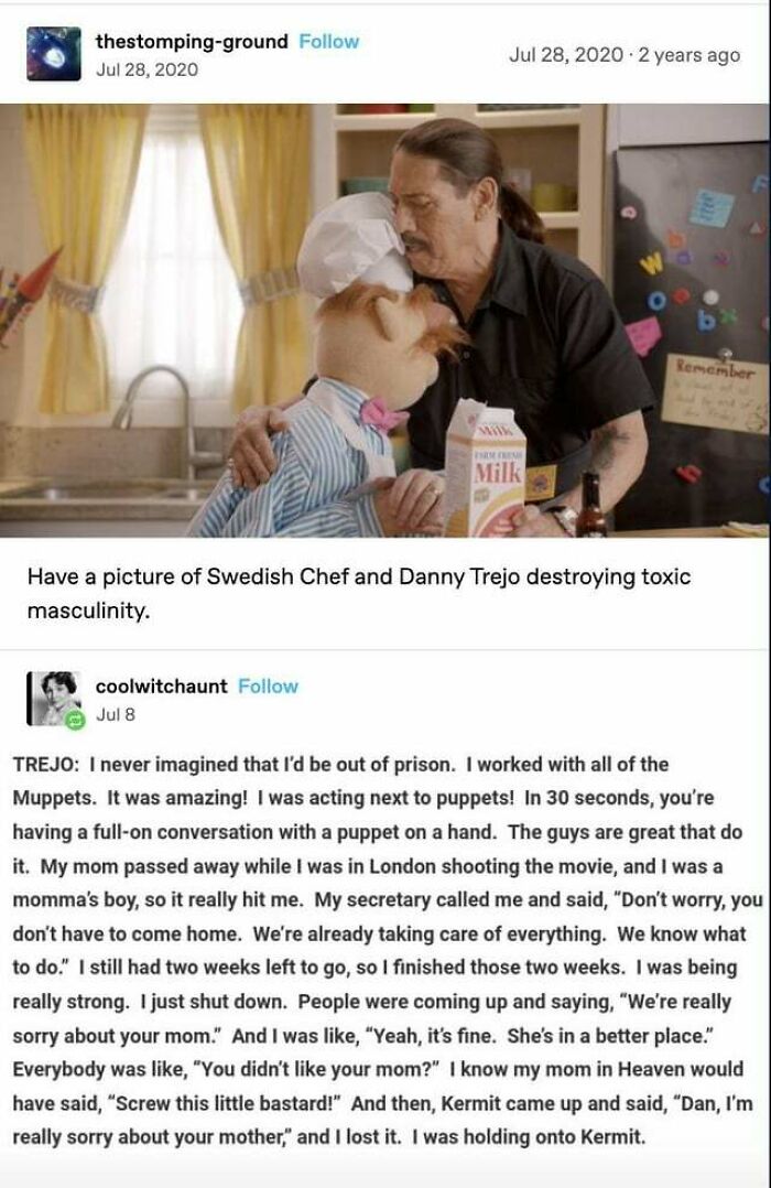 Can't Lie To Kermit!