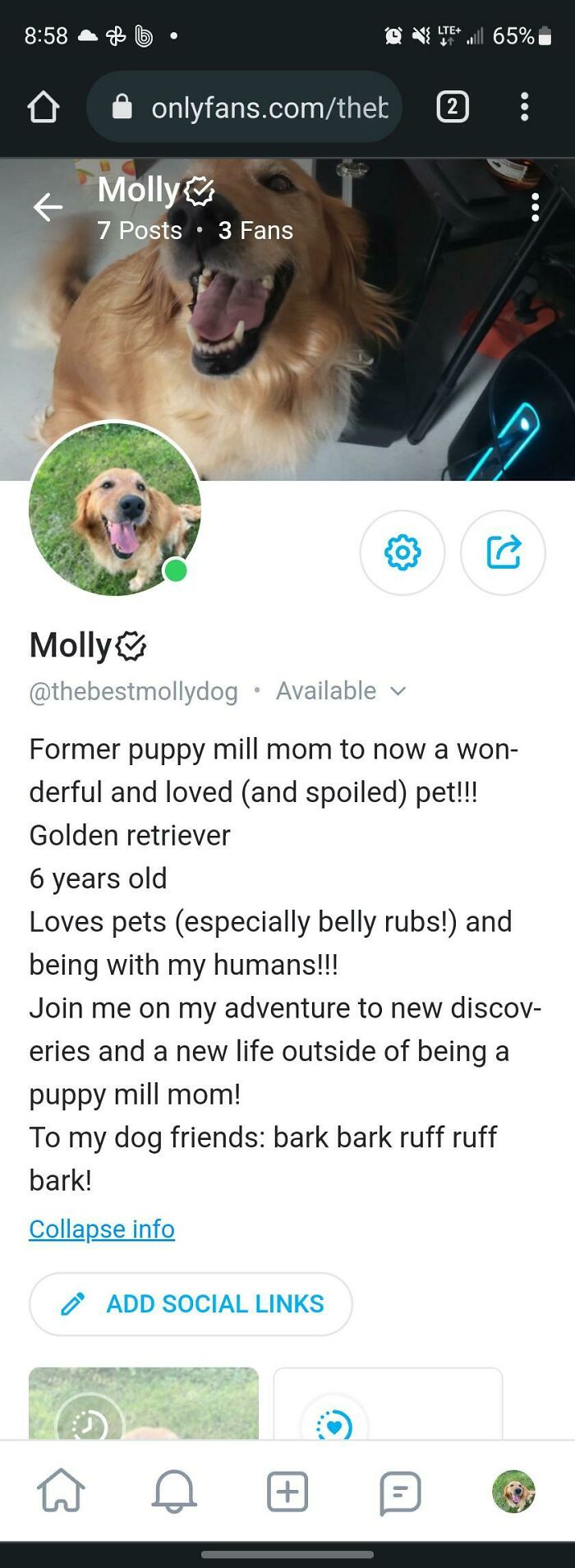 Didn't Expect To Find This, Lol