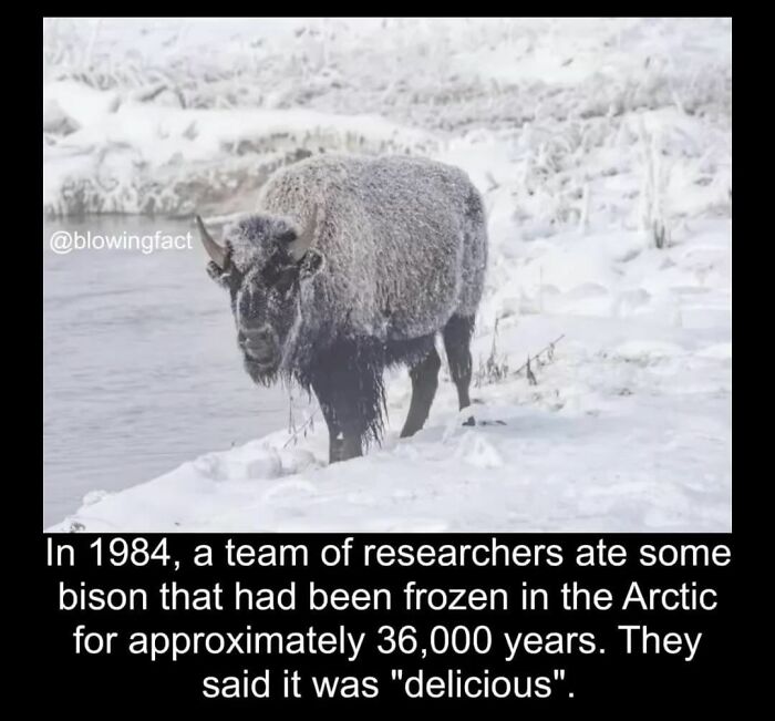 Blowing-Interesting-Facts-Pics