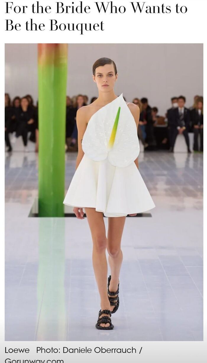 Does A Strap On Fit In The Stamen?