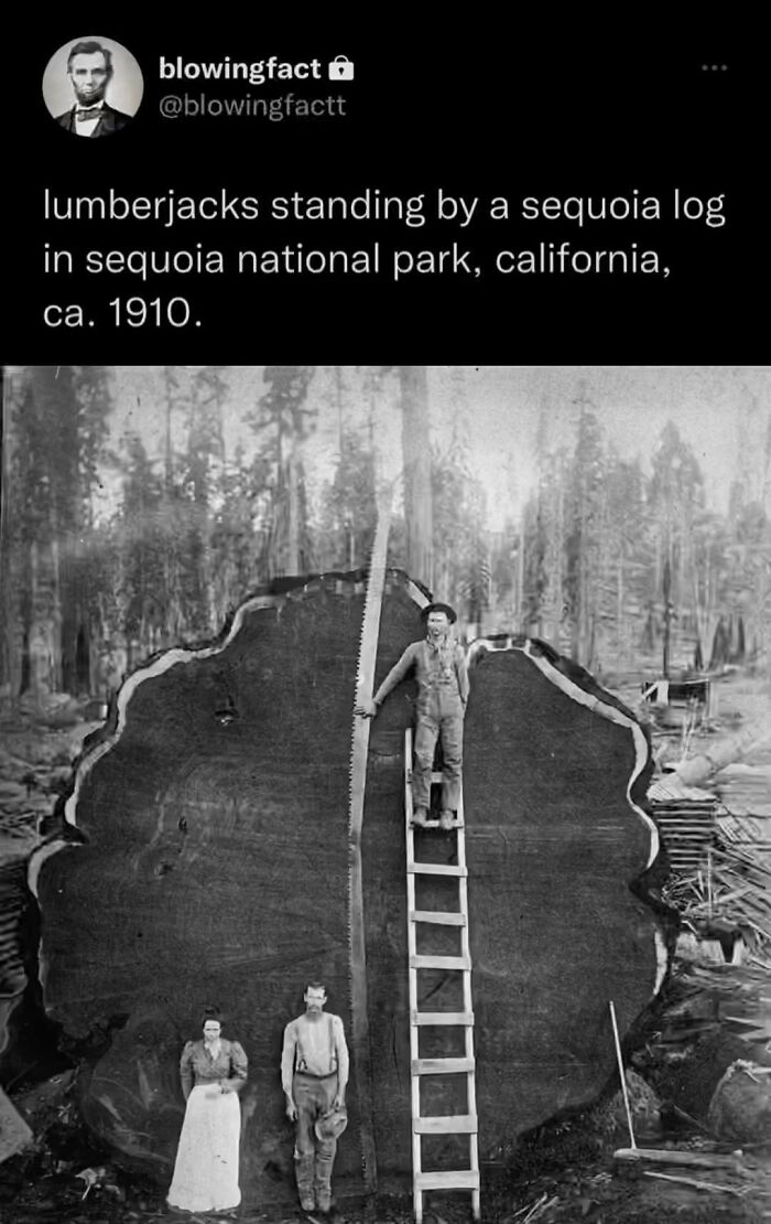 Blowing-Interesting-Facts-Pics