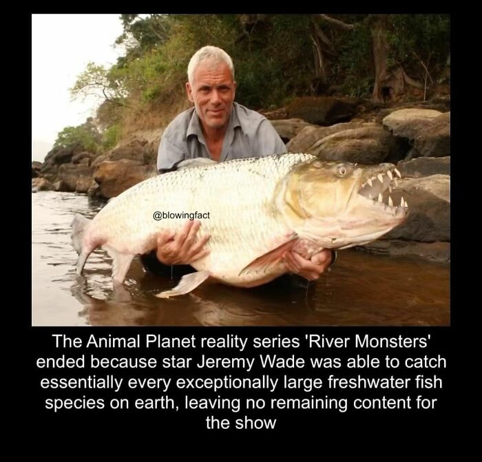 Blowing-Interesting-Facts-Pics