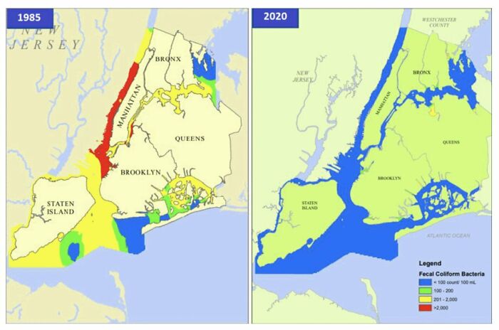 Fecal Bacteria Contamination In New York Waters, 1985 vs. 2020
