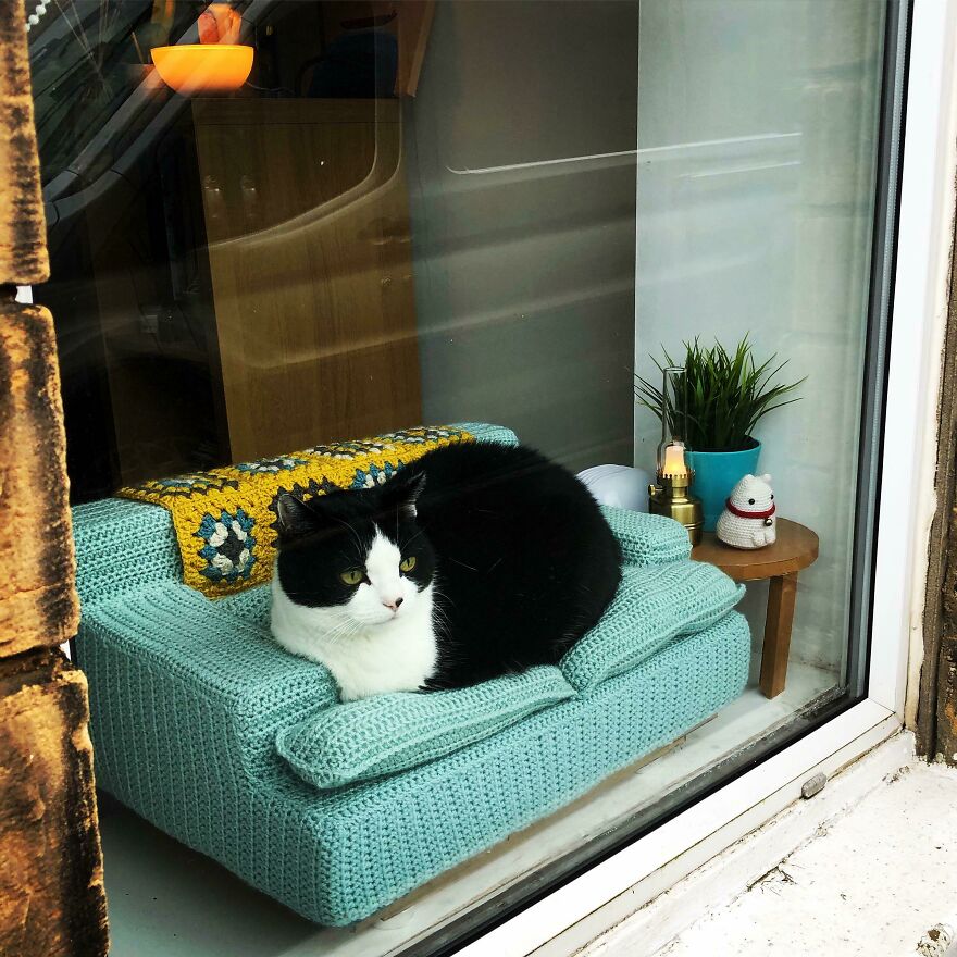 I made my old girl a sofa, to people watch from.