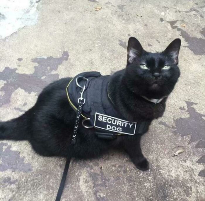 Looks About Right 👍