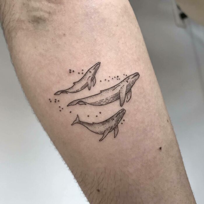 Tattoo of three whales on an arm, illustrating family bonds and unbreakable connections.