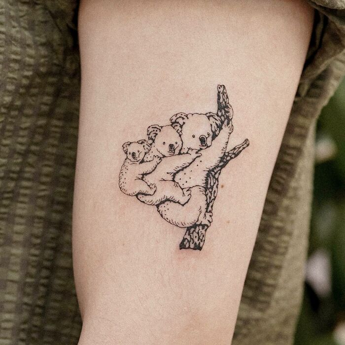 Koala family tattoo design symbolizing unbreakable bonds on a forearm.