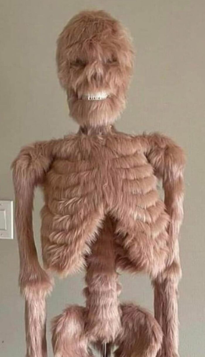 Looks Like They Tried Buying A DIY Chewbacca Kit From Wish