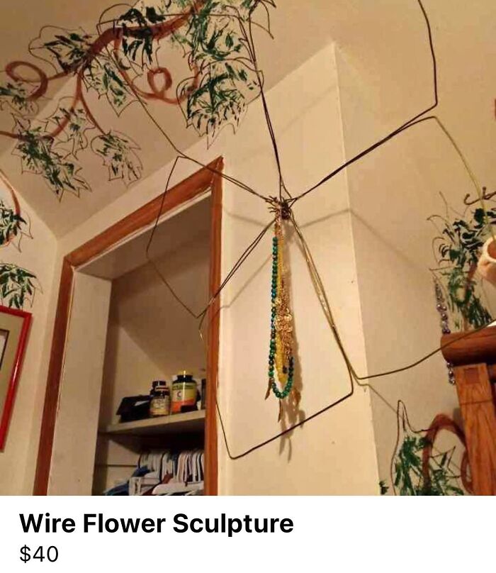 I Thought It Was A Huge Bug