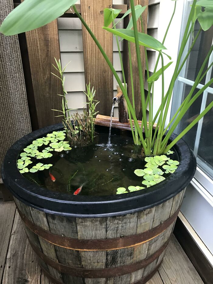 Barrel pond 